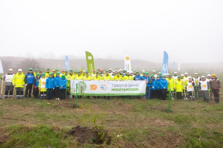 Series of tree-planting campaigns held in Dashkasan district (PHOTO)
