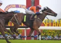 Jinling Starblitz doubles up | The Straits Times