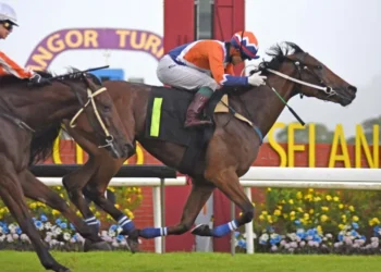 Jinling Starblitz doubles up | The Straits Times