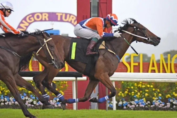 Jinling Starblitz doubles up | The Straits Times