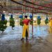 Banana reactivation in Bocas del Toro: 5,065 jobs recovered, says Minister Moltó