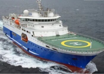 Search for oil: 470 whales, dolphins and turtles were sighted during the first stage of the exploration campaign