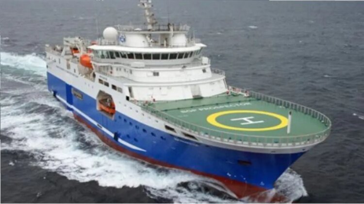 Search for oil: 470 whales, dolphins and turtles were sighted during the first stage of the exploration campaign