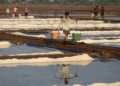Mon State anticipates 25,000 tonnes of coarse salt amid strong demand
