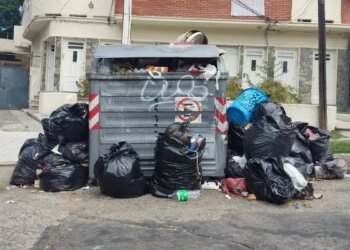 Fines of up to 350 UR: reinforced IM controls begin today for poor waste disposal in Montevideo