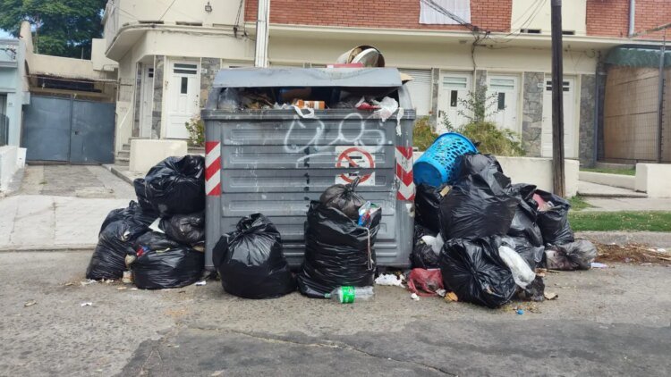 Fines of up to 350 UR: reinforced IM controls begin today for poor waste disposal in Montevideo