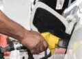 Guatemala pays more for oil imports: March rebound drives costs and collection