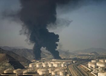 “Declaration of independence of the UAE” – the UAE’s withdrawal from OPEC is not the only reason for the war