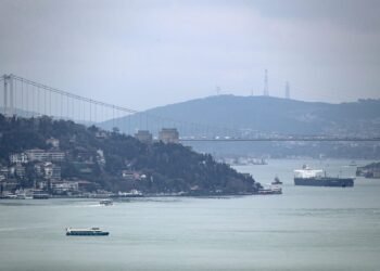 Turkey is the example that Iran wants to follow