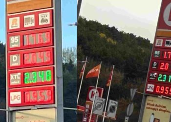 How did gas prices change on Friday morning? | Business