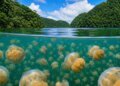 They remained isolated for thousands of years: Millions of them move together under the lake
