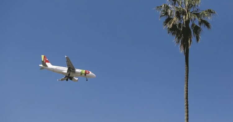Government guarantees aviation fuel until peak summer despite global risks of shortages in EU