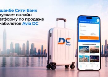 Dushanbe City launches an online platform for selling air tickets