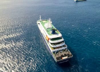 Hantavirus on cruise ship MV Hondius – at least three dead