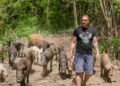 Home and design – The Croat who replaced the city with a forest shocked again: ‘I sold everything. The house, the stables, the land… I’m panicking’