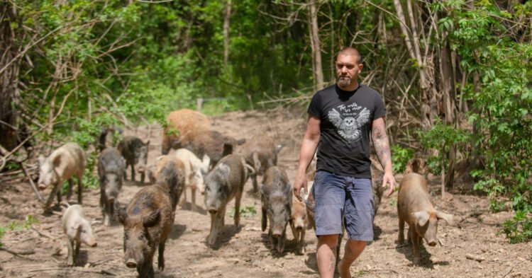 Home and design – The Croat who replaced the city with a forest shocked again: ‘I sold everything. The house, the stables, the land… I’m panicking’