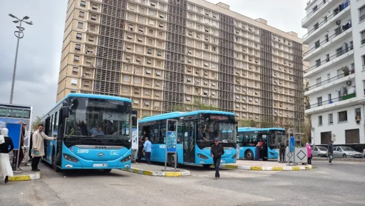 The largest in its history.. “Etoza” launches 30 new lines