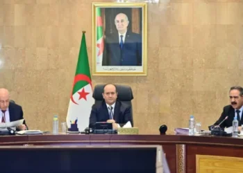 Outcomes of the government meeting – Al-Watan: Al-Khobar
