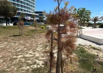 Slobodna Dalmacija – Sad scenes from the favorite destination of the people of Split: ‘Horticulture has more or less failed. What a small million thrown in the wind!’