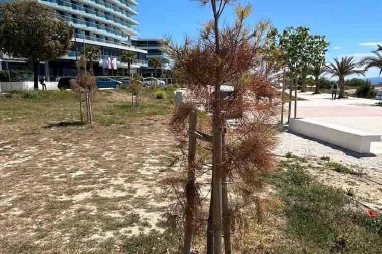 Slobodna Dalmacija – Sad scenes from the favorite destination of the people of Split: ‘Horticulture has more or less failed. What a small million thrown in the wind!’