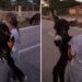 Slobodna Dalmacija – VIDEO What a meltdown! A small load has arrived in the family, you have to see the happiness of this little girl. Yes, there is more of this…