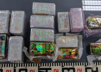 Police seize 300kg of drugs linked to Swedish network