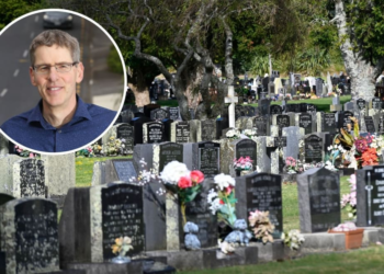 The ‘vicious cycle’ driving Tauranga families to Waikato for cheaper cremations