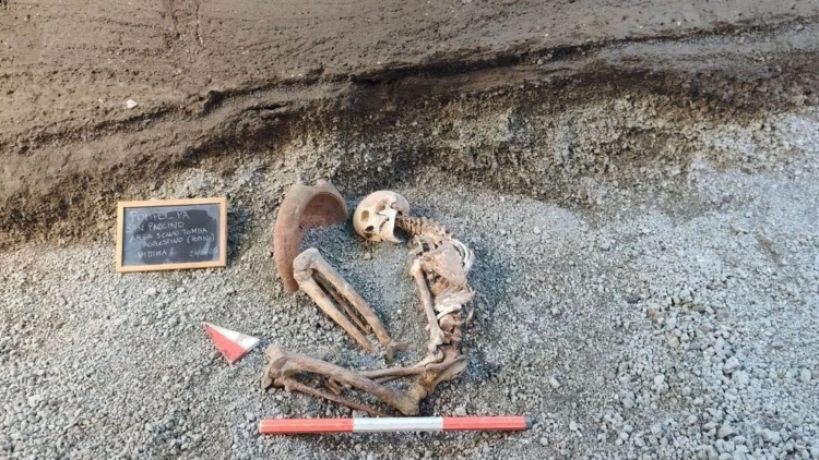 Artificial Intelligence: Vesuvius eruption victim revives