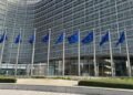 EU seeks to exclude leather from revised anti-deforestation law