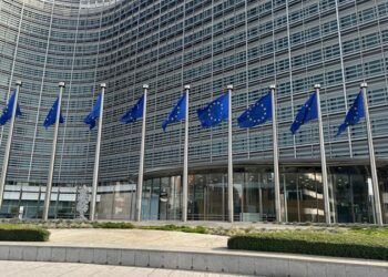 EU seeks to exclude leather from revised anti-deforestation law