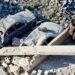 US attacks Iranian vessels, civilian areas, Iran attacks US ships