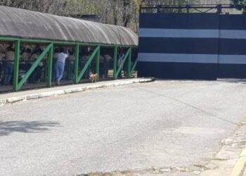 OVP denounces arbitrary transfer of more than 600 prisoners from Yare III