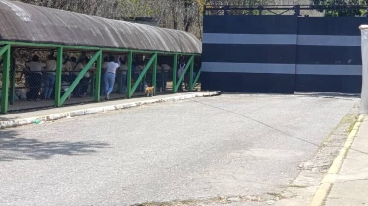OVP denounces arbitrary transfer of more than 600 prisoners from Yare III