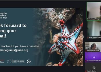 Call for proposals: Closing the Caribbean Plastic Tap initiative