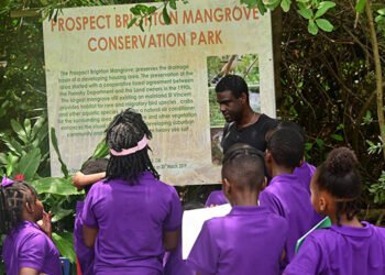 Sandals Foundation takes students on mindfulness nature trail for Earth Day – iWitness News