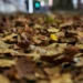 Inumet predicts a warmer than normal May with irregular rainfall behavior: what Metsul says