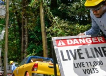 Rodent causes islandwide electricity blackout in St Lucia | World News