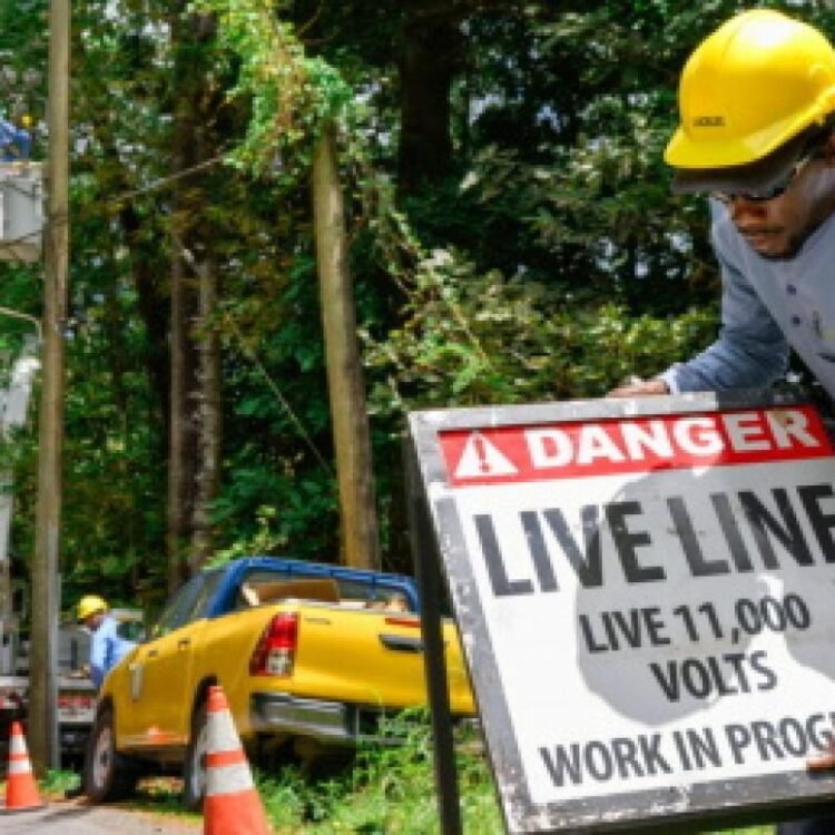 Rodent causes islandwide electricity blackout in St Lucia | World News