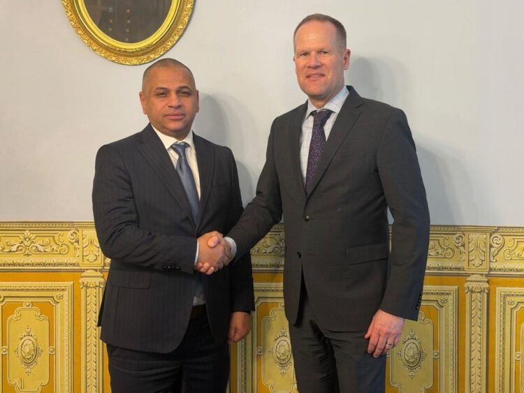Libyan Investment Authority chief discusses reinvestment of frozen assets with US official