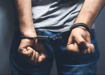 Police arrest four suspects in investigation into deceased twin brothers – De Ware Tijd