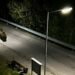 Unbelievable. The bear was walking right between the apartment buildings. The conservationists are already registering 260 reports – Regions – Reports