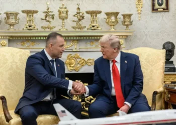 “Our alliance is growing stronger.” President issues key statement on cooperation with the United States
