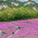 Festivals, sights across Korea – The Korea Herald