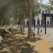 Renovation of Jiřího z Poděbrad Square: Prague Receives Around 70 Million Crowns in Funding
