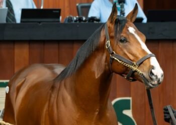 The $10.5 million horse: Why owners are willing to drop big money in search of a Kentucky Derby win