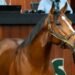 The $10.5 million horse: Why owners are willing to drop big money in search of a Kentucky Derby win