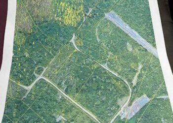 Peleliu chiefs sue over land deal tied to U.S. military use