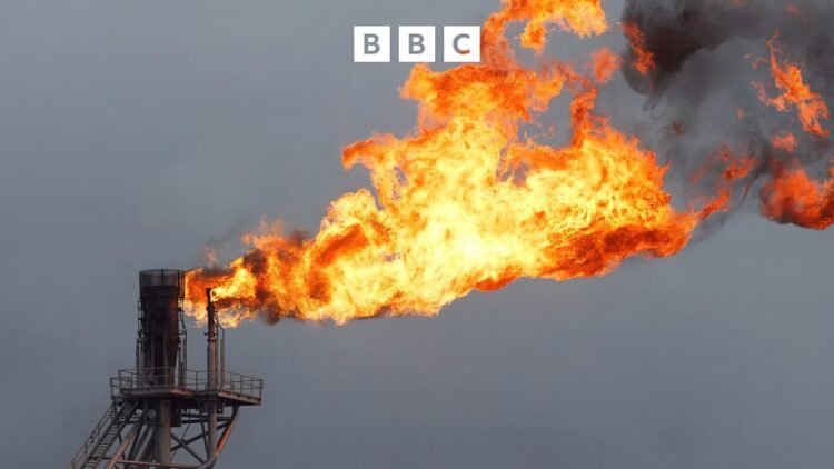 BBC Audio | Business Daily