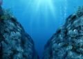 The Documentary PodcastIn Our Time: The Mariana Trench