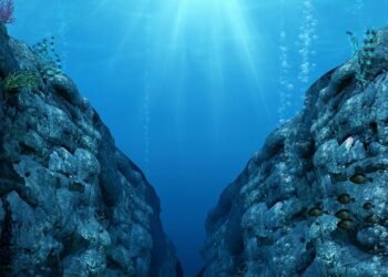 The Documentary PodcastIn Our Time: The Mariana Trench